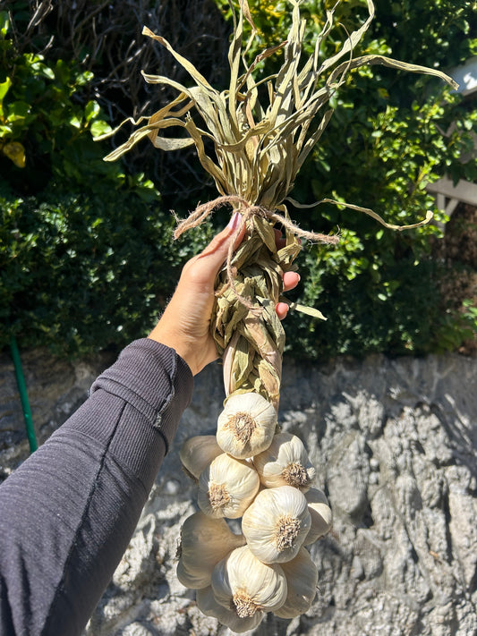 Garlic Plaits