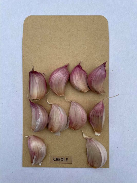 Selected Planting Cloves - Creole