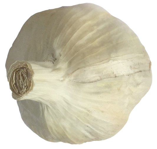 TE MATA KEEPER - M 50-60mm