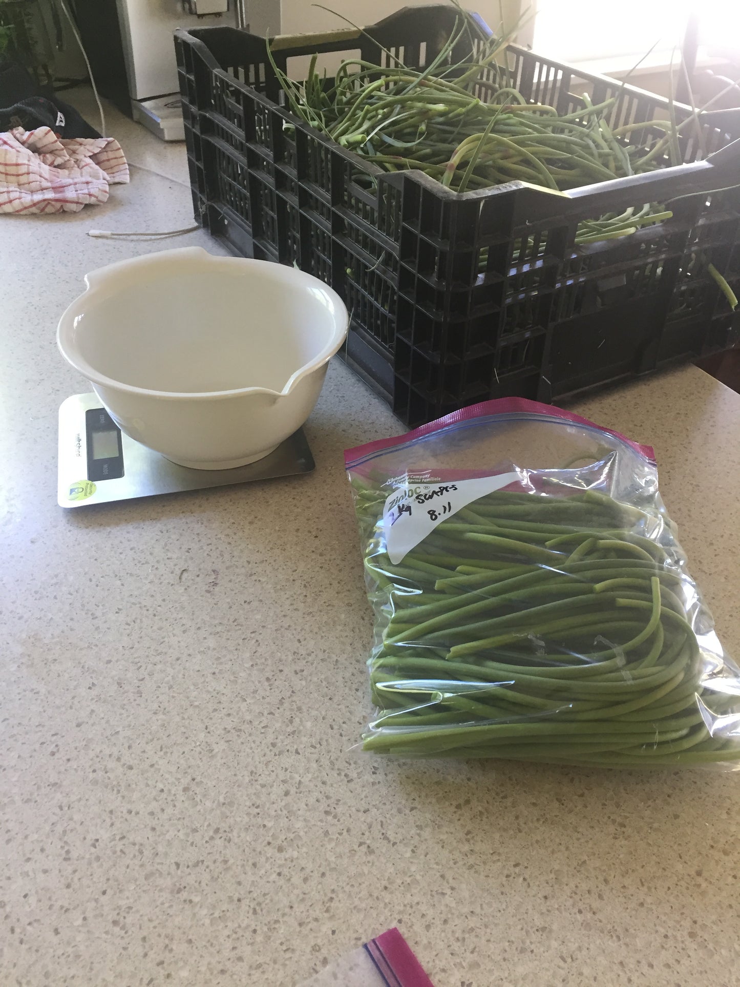 SCAPES - 500g