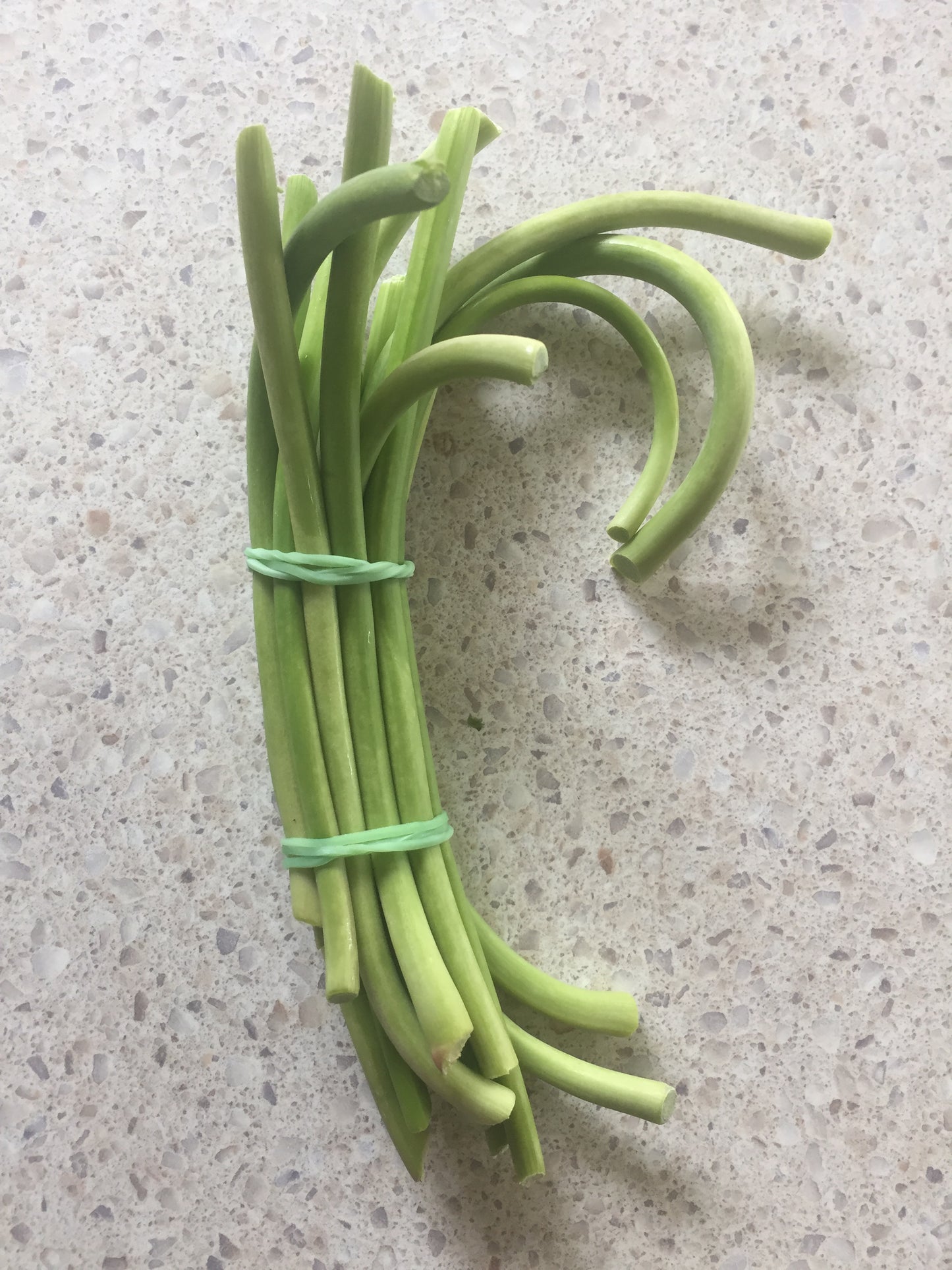 SCAPES - 500g